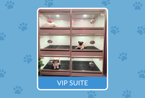 VIP Private Room interior